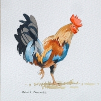 the-cockerel