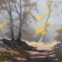 autumn-in-hogback-wood