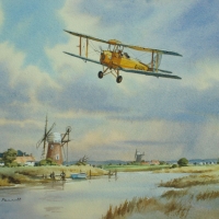 tiger-moth-over-the-broads